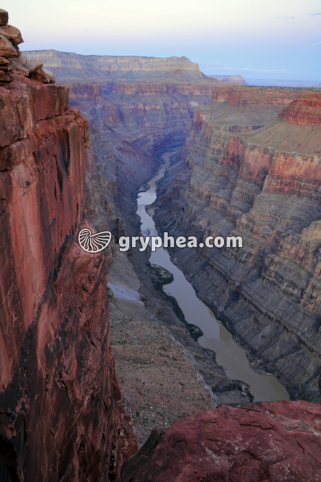 Grand Canyon (Toroweap Point, AZ) - gryphea.org